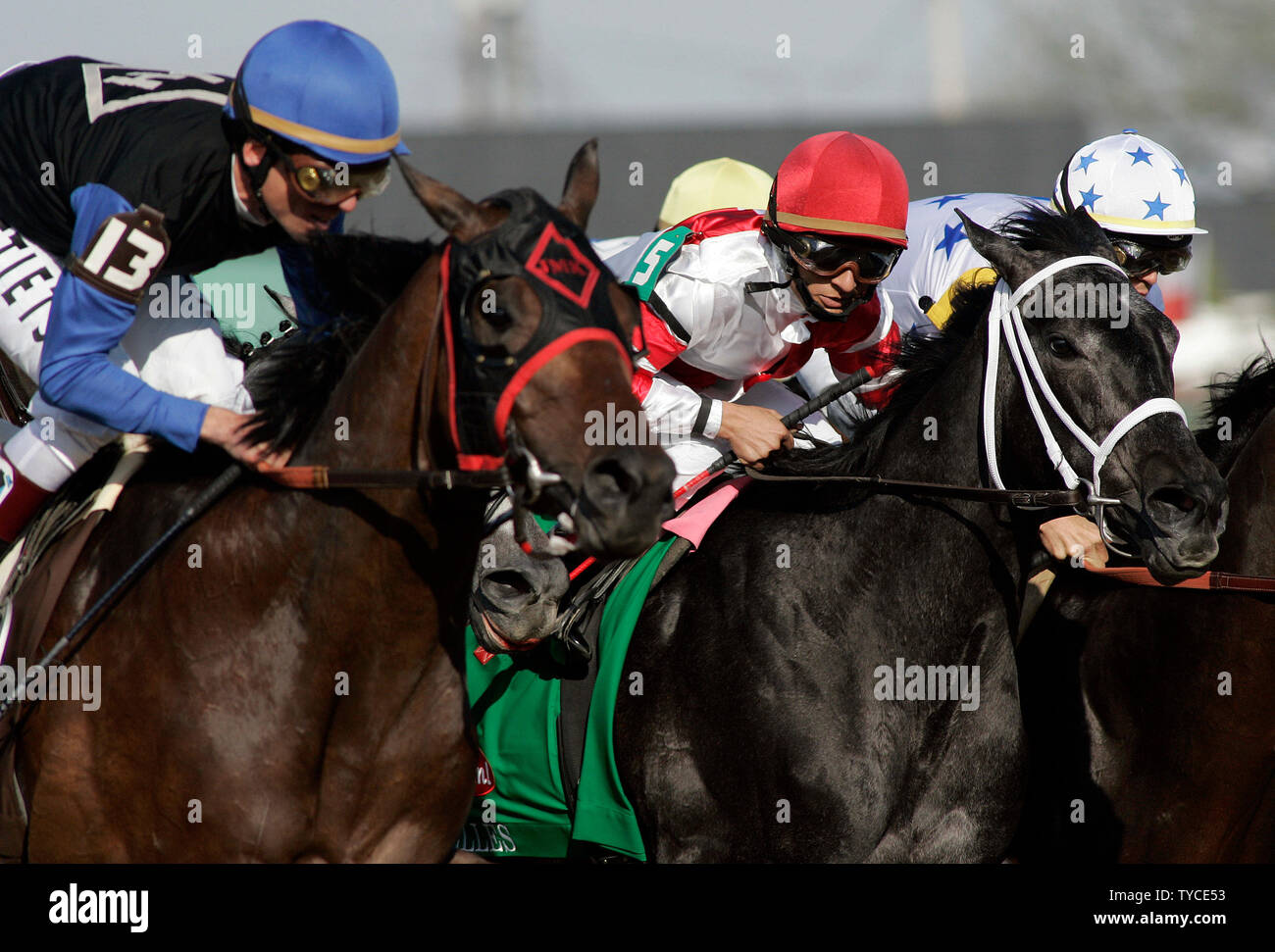 Gabriel Saez (R) an Bord acht Schönheiten, führt Bob Black Jack, mit Richard Migliore (L) durch die wichtigsten Strecken zu Beginn der 134 läuft der Kentucky Derby an Churchill Downs am 3. Mai 2008 in Louisville, Kentucky. Philly acht Schönheiten, die zweite beendete, wurde auf der Strecke wegen eines tödlichen Verletzungen eingeschläfert. (UPI Foto/Frank Polich) Stockfoto