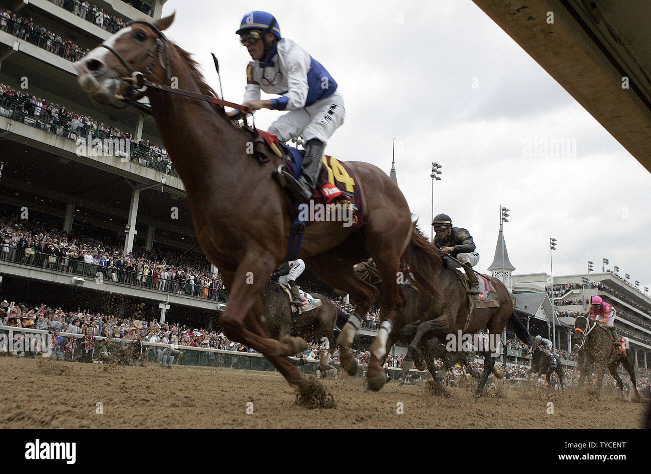 Shackleford geritten von Jesus Castanon (14) führt das Feld am Anfang der 137 läuft der Kentucky Derby an Churchill Downs in Louisville, Kentucky am 7. Mai 2010. UPI/Mark Cowan Stockfoto