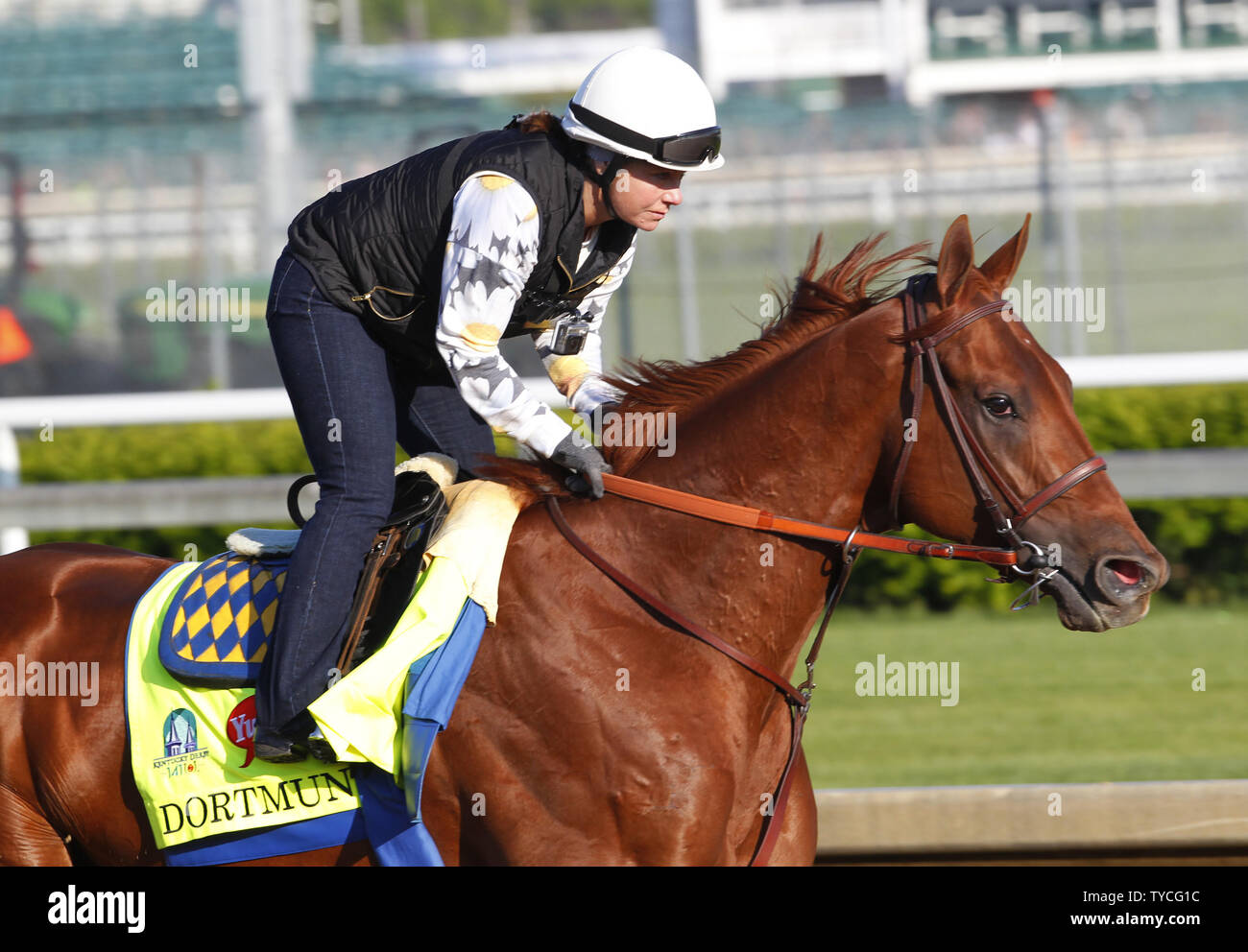 Kentucky Derby hoffnungsvoll Dortmund galoppaden unter Ausübung rider Dana Barnes beim morgendlichen Training auf Churchill Downs in Louisville, Kentucky, 29. April 2015. Trainer Bob Baffert bereitet sein Pferd in der 141 läuft der Kentucky Derby an Churchill Downs am 2. Mai stattfinden wird. Foto von John Sommers II/UPI Stockfoto