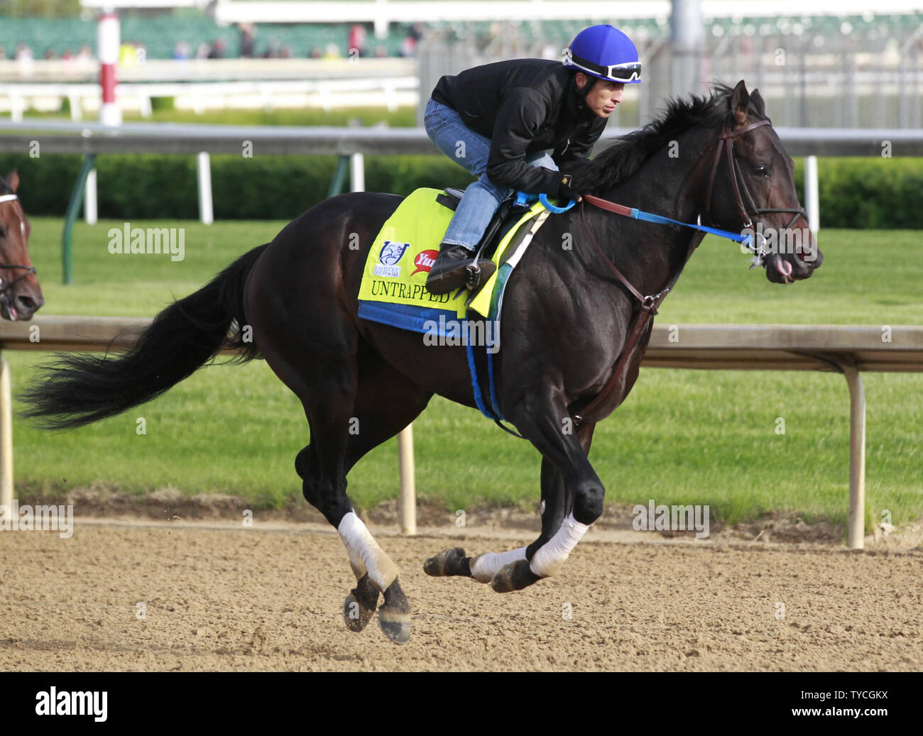 Kentucky Derby hoffnungsvoll Untrapped, geritten von Übung Fahrer Juan Vargas, galoppiert auf der Spur während der frühen Morgen Training auf Churchill Downs in Louisville, Kentucky, 3. Mai 2017. Trainer Steve Asmussen bereitet sein Pferd für den 143 läuft der Kentucky Derby an Churchill Downs am 6. Mai stattfinden werden. Foto von John Sommers II/UPI Stockfoto