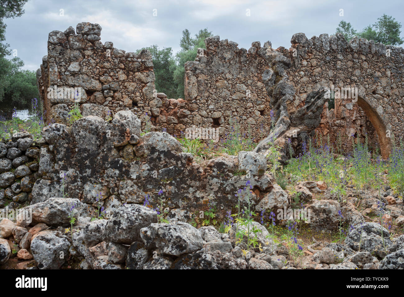 Ruinen im ehemaligen Dorf aradena, Aradena Schlucht, Aradena, Sphakia, Chania, Kreta, Griechenland, Europa Stockfoto