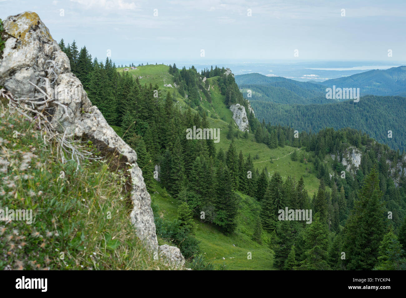 Berg Brauneck, Bayerische Alpen, Oberbayern, Bayern, Deutschland Stockfoto