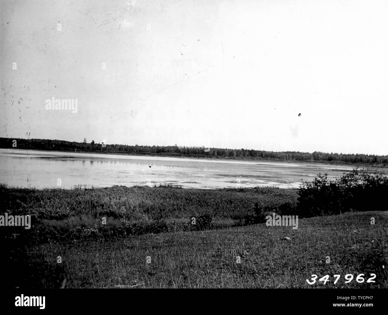 Foto von Moose Lake; Umfang und Inhalt: Original Bildunterschrift: Dieser Körper von Wasser ist ein sehr attraktives Einzugsbereich für Wasservögel Auch wenn aus irgendeinem Grund Sie nicht umfassend zur Zucht verwenden. Ernte von Reis ist in diesem Jahr außergewöhnlich gut und wird zweifellos durch die Inder geerntet werden. Indien. Stockfoto