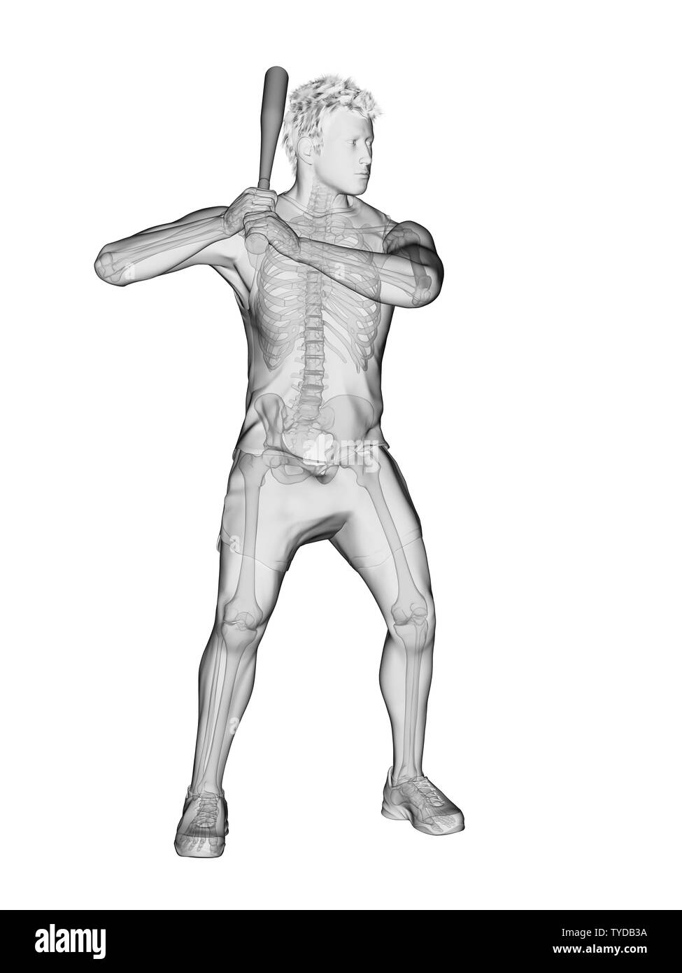 3d-medizinisch genaue Abbildung eines Baseball spieler gerendert Skelett Stockfoto