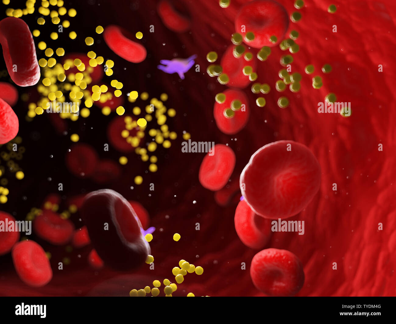 3D-gerenderte Medizinisch genaue Abbildung von Fett in den Blutfluss Stockfoto
