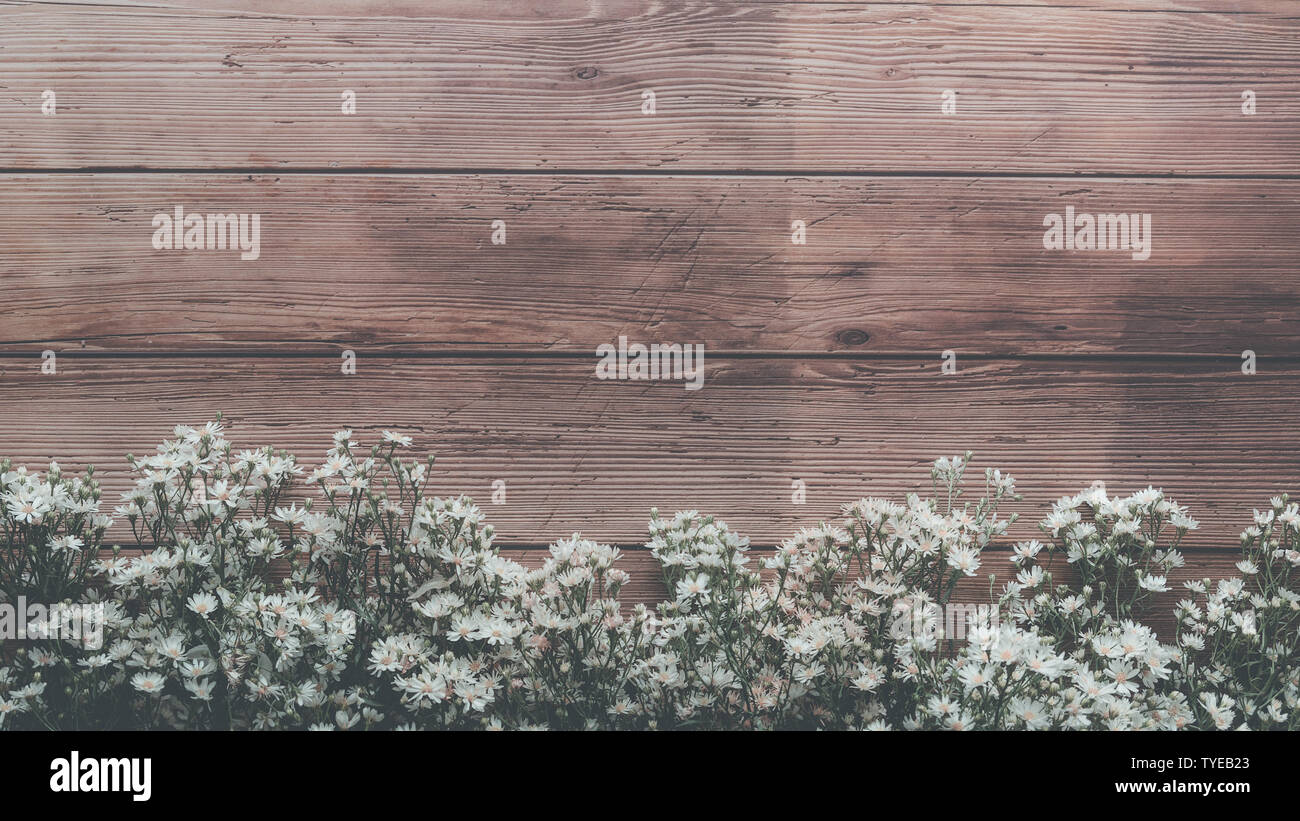 Garten Feder weiß kleine Blumen auf Holzbrett Tabelle Hintergrund mit Kopie Raum, retro Colour Style Stockfoto