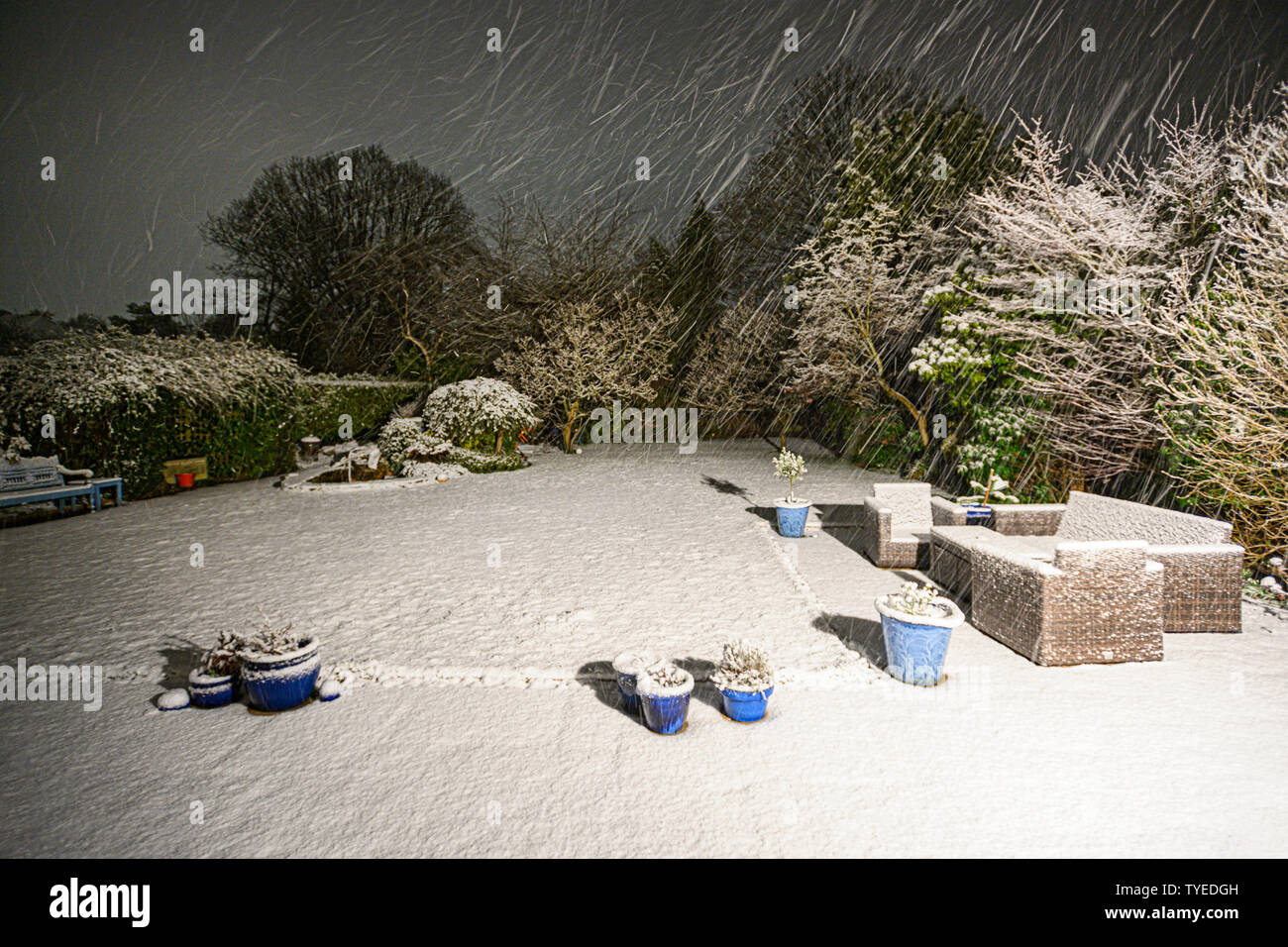 verschneiten Garten Stockfoto