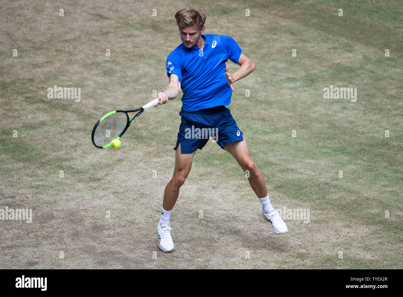 David GOFFIN (BEL) mit Kugel, Single Action mit Kugel, Aktion, vollständige Abbildung, Tennis, Viertelfinale, 27 NOVENTI Open 2019 ATP World Tour am 21.06.2019 in Halle (Westf.)/Deutschland. | Verwendung weltweit Stockfoto