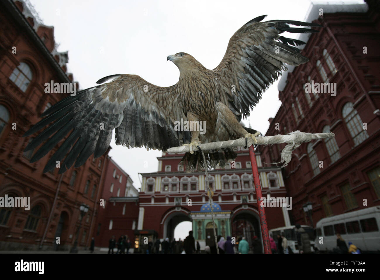 Ein Adler von außen Foto Studio mit warmem Wetter nahe dem Roten Platz in Moskau am 18. Januar 2007. Das Fehlen von Schnee in Moskau hat geschockt, Bewohner, die nicht wie ein warmer Winter seit langer Zeit gesehen habe. Der staatliche Wetterdienst sagte, dass es noch nie einen so langen Bann von ungewöhnlich warmen Temperaturen im Winter im europäischen Teil von Russland aufgezeichnet hatte. (UPI Foto/Anatoli Zhdanov) Stockfoto