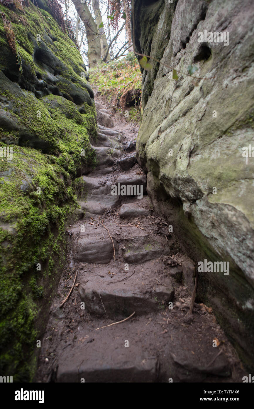 Stein Schritte an Dunino Höhle, Dunino, St. Andrews, Fife, Schottland. Stockfoto