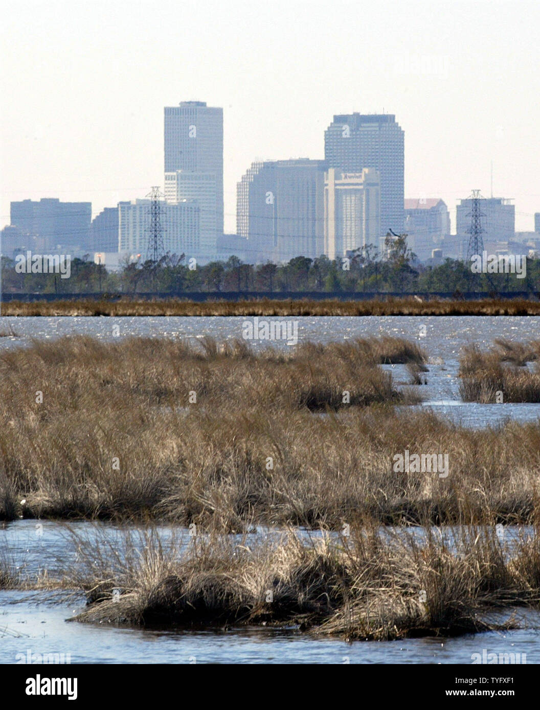 Die Skyline von New Orleans über den Sumpf in St. Bernard Parish südöstlich der Stadt November 29, 2005 gesehen. 3 Millionen Hektar von Louisiana wetlands, einen natürlichen Schutz vor Stürmen wie Hurrikan Katrina, werden mit einer Rate von ungefähr 75 Quadratkilometern jährlich verloren. St. Bernard Parish wurde durch den Sturm verwüstet, und 80 Prozent von New Orleans war überflutet nach Deiche zusammengebrochen. Die Bewohner der Gegend atmen ein Seufzer der Erleichterung, als der atlantischen Hurrikansaison endet am 30. November. (UPI Foto/A.J. Sisco) Stockfoto