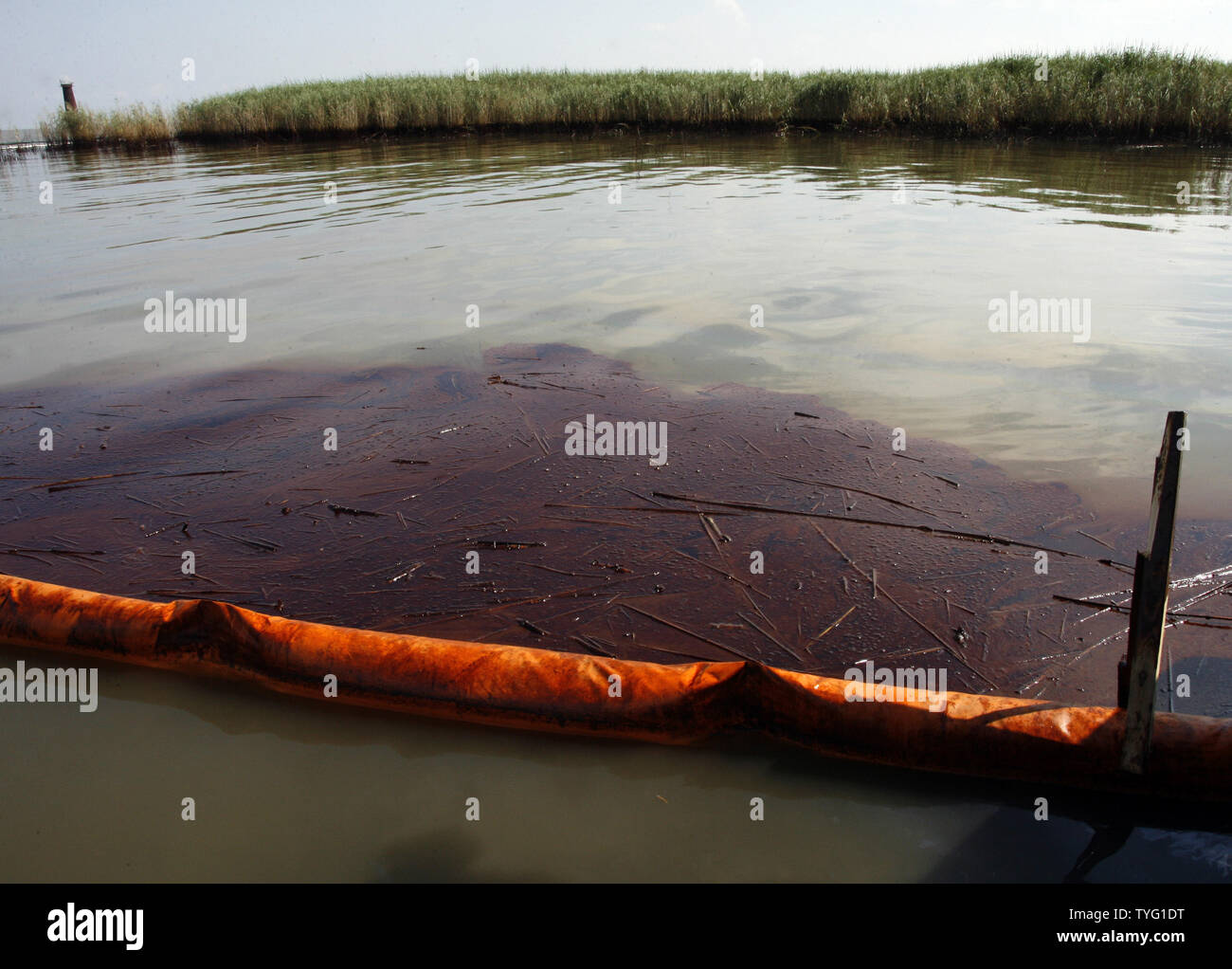 Erdöl sammelt sich auf der falschen Seite einer Orange containment Boom im Pass ein Otter in der Nähe von Venedig, Louisiana, 30. Mai 2010. Öl fließt in den Golf von Mexiko aus der versunkenen Bohrinsel Deepwater Horizon BP, die in einem tödlichen Explosion vor mehr als einem Monat zerstört wurde ins Schwärmen. Beschränkung der Serveranzahl Ausleger Ring den Sumpf, aber das ölhaltige Wasser oft wäscht über oder unter ihnen. UPI/A.J. Sisco. Stockfoto