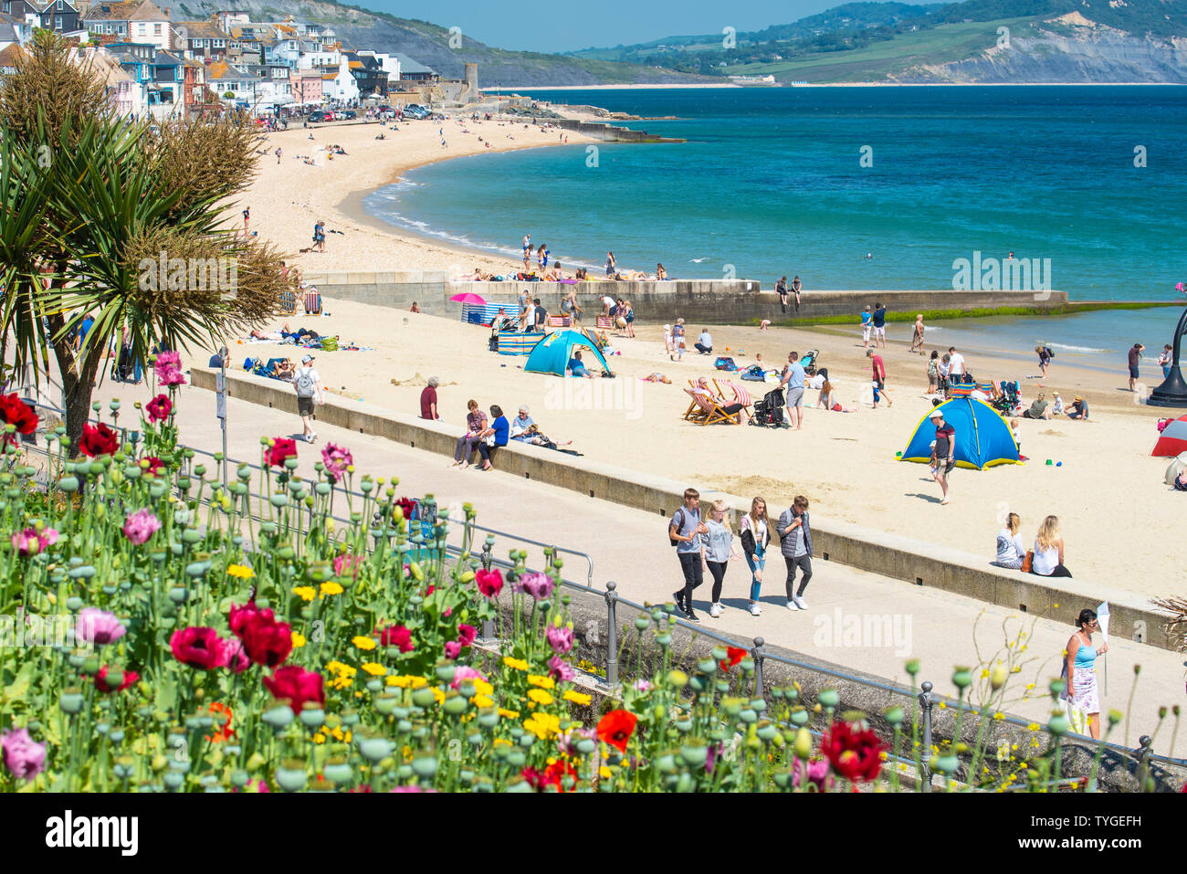 Lyme Regis, Dorset, Großbritannien. 26. Juni 2019. UK Wetter: Besucher genießen Sie glühend heiße Sonne im malerischen Badeort von Lyme Regis an diesem Nachmittag. Der sweltering Bedingungen sind noch heißer und schwüler in den kommenden Tagen als "Kulturen, Länder und Zeiten als Formen soziawirkt Wärme Blase' hits Südengland zu erhalten. Credit: Celia McMahon/Alamy Leben Nachrichten. Stockfoto