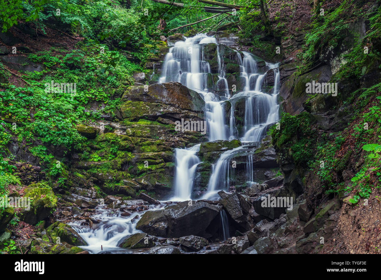 Schönen hohen Wasserfall tief in die Karpaten. Ströme von Wasser, nasse Steine mit grünem Gras und Motte Stockfoto