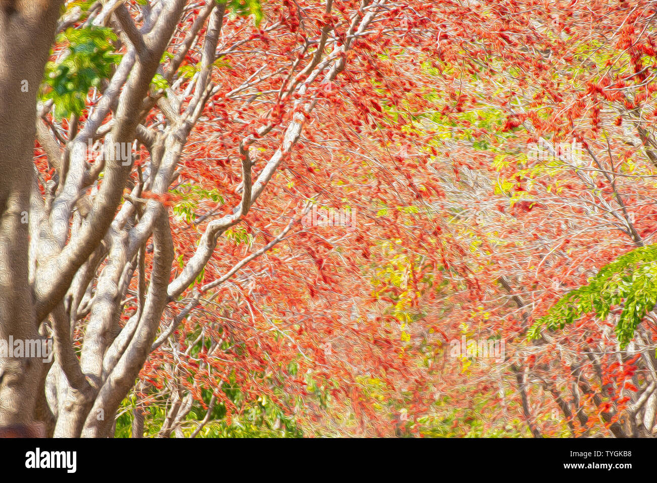 Schönen Baum für Tapeten (Öl malerei Stil) Stockfoto