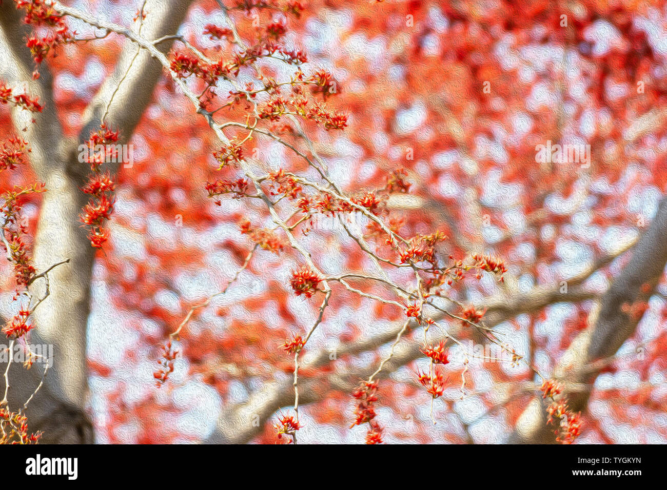 Schönen Baum für Tapeten (Öl malerei Stil) Stockfoto