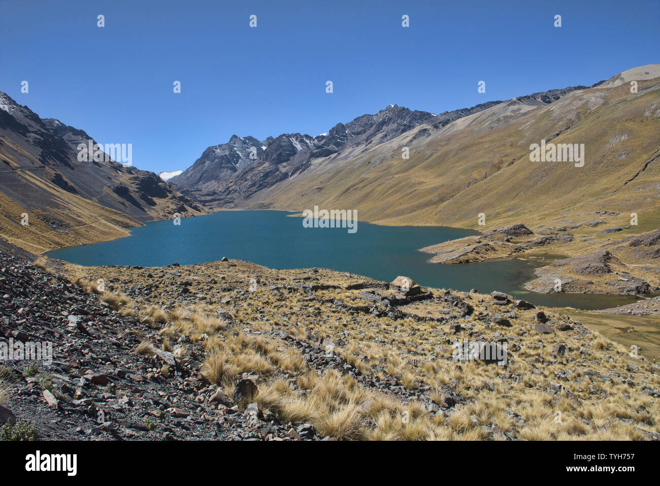 Anzeigen von Laguna Quta Thiya entlang der Cordillera Real Traverse, Bolivien Stockfoto