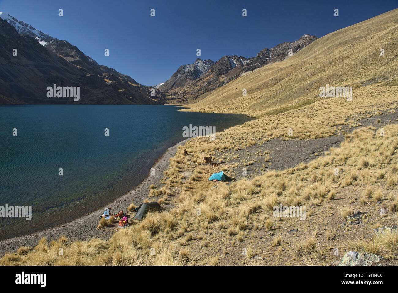 Campingplatz Laguna am Quta Thiya entlang der Cordillera Real Traverse, Bolivien Stockfoto