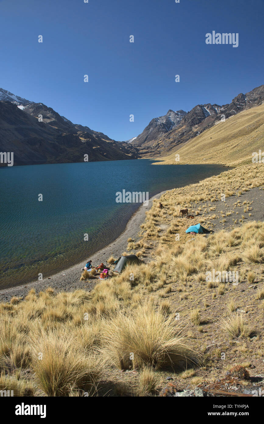 Campingplatz Laguna am Quta Thiya entlang der Cordillera Real Traverse, Bolivien Stockfoto