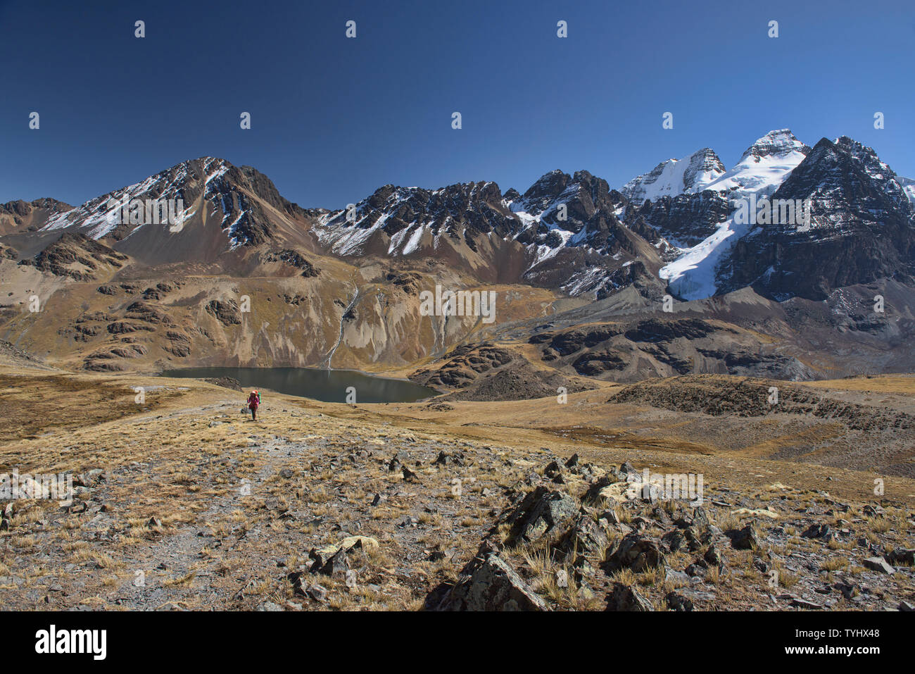 Aufsteigend von condoriri Basecamp über Laguna Chiar Khota auf die Cordillera Real Traverse, Bolivien Stockfoto