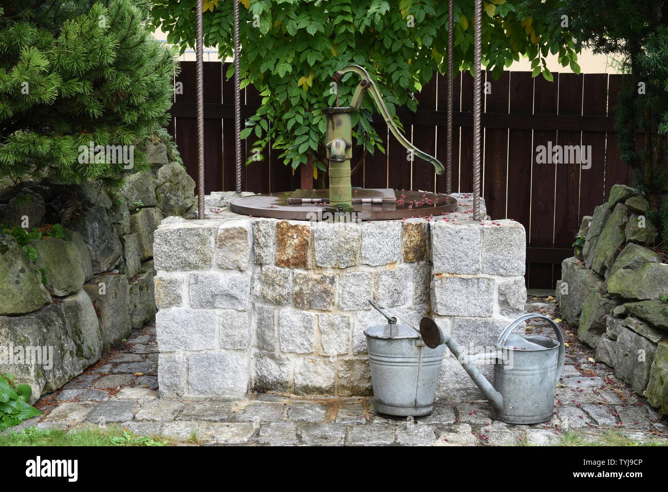 Kleine Wasserpumpe Für Den Trinkwasserbrunnen Stockbild - Bild von