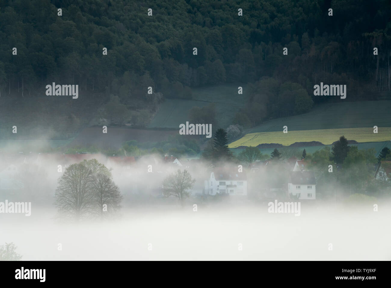Neblige Landschaft, Blick auf Bodenfelde, Landkreis Northeim, Niedersachsen, Deutschland, Europa Stockfoto