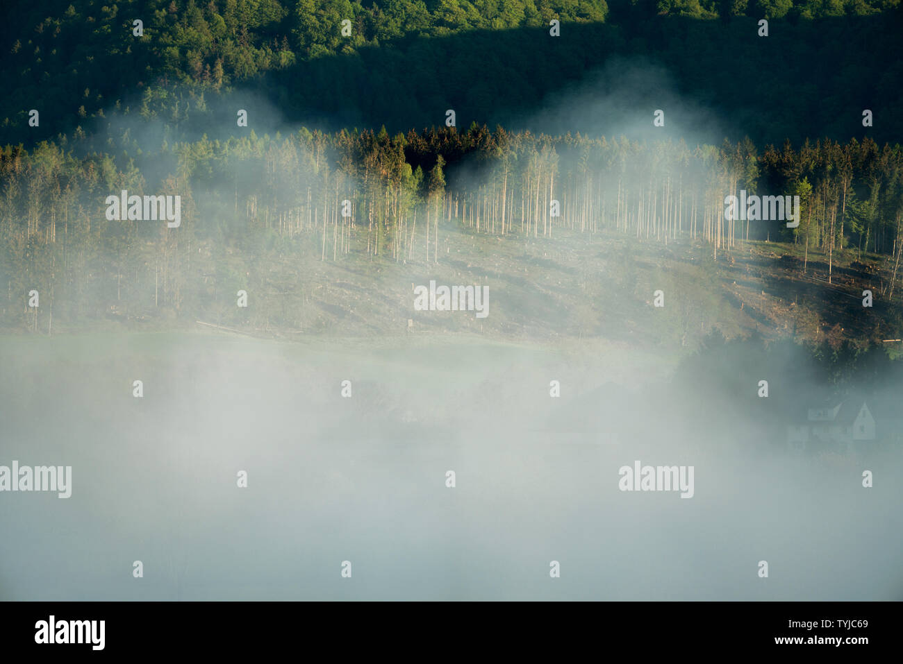 Neblige Landschaft, Blick auf Bodenfelde, Landkreis Northeim, Niedersachsen, Deutschland, Europa Stockfoto