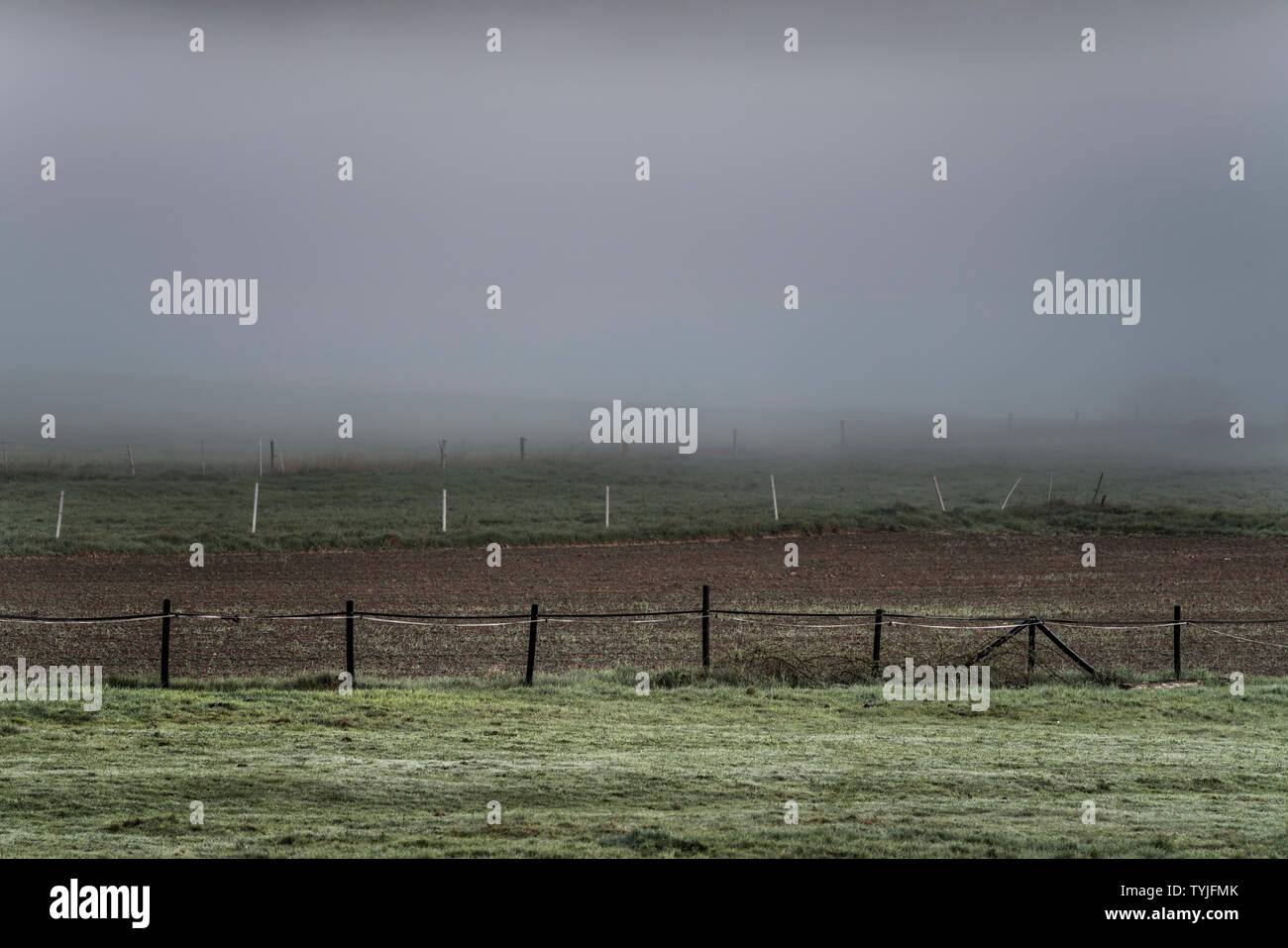 Neblige Landschaft, in der Nähe von Oberweser, Weserbergland, Nordrhein-Westfalen, Hessen, Deutschland Stockfoto