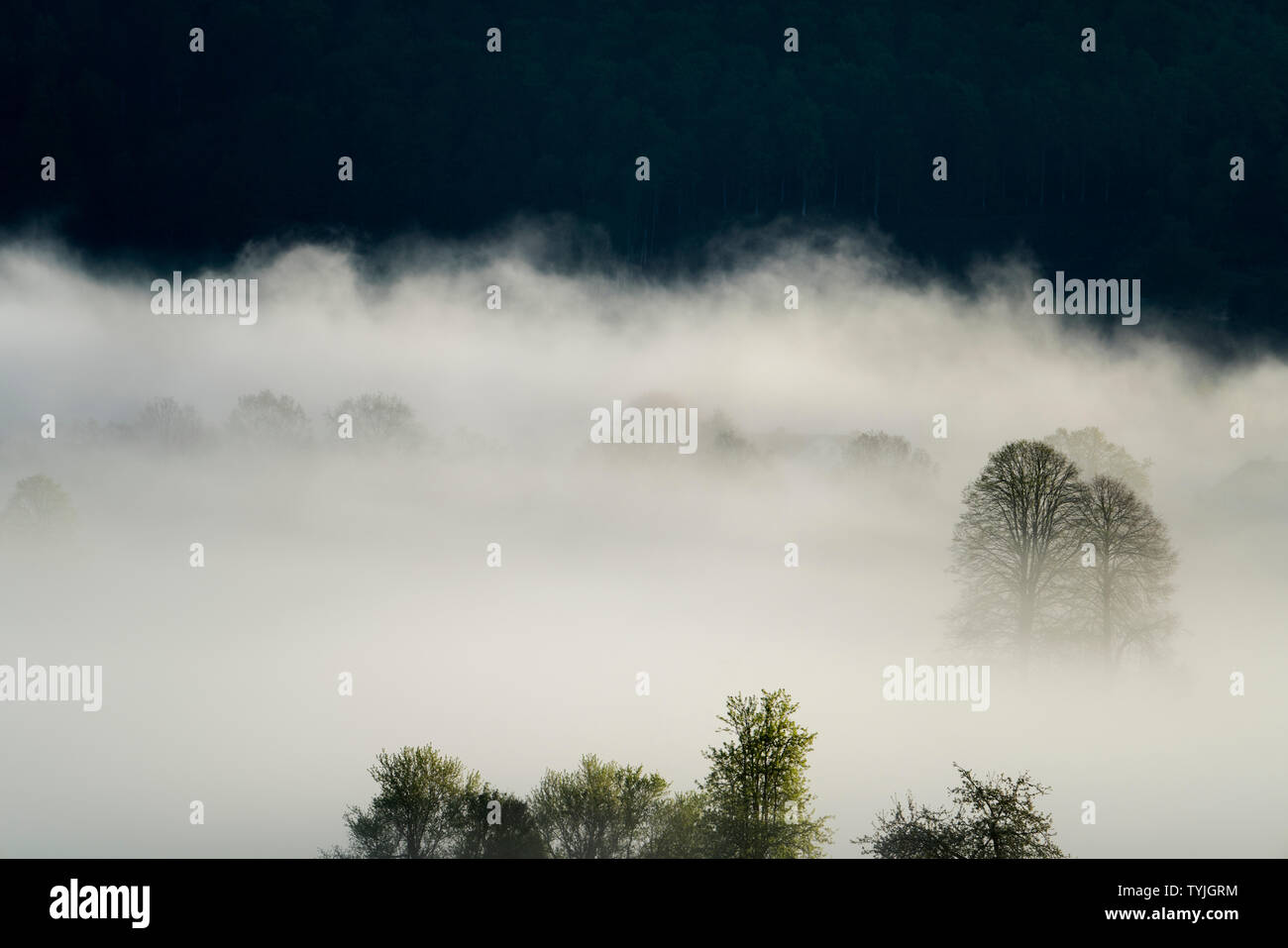Neblige Landschaft, in der Nähe von Oberweser, Weserbergland, Nordrhein-Westfalen, Hessen, Deutschland Stockfoto