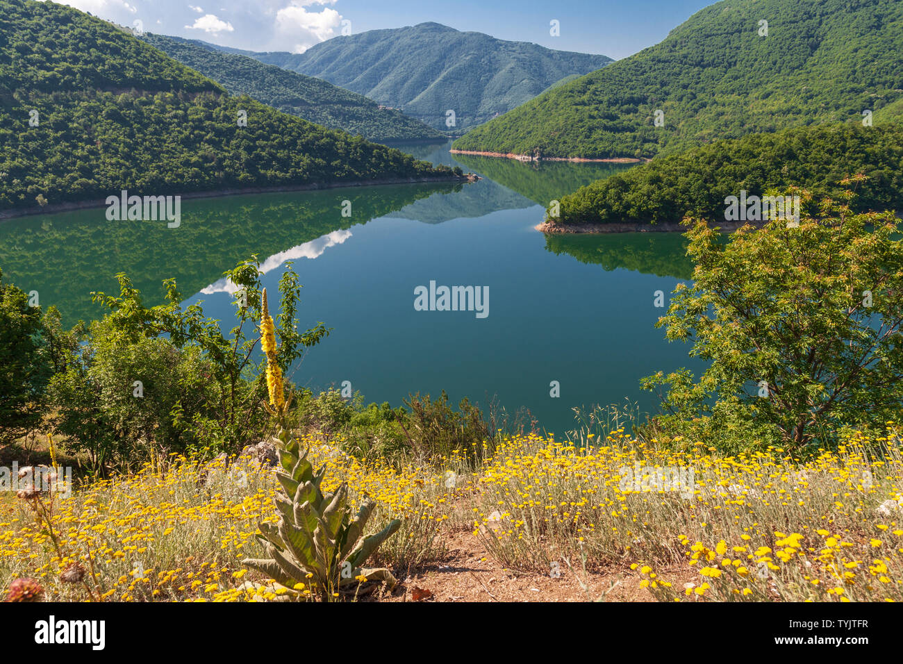 Ansicht der vacha Reservoir in der rhodepes Berge Bulgarien Sommer Reflexionen Stockfoto