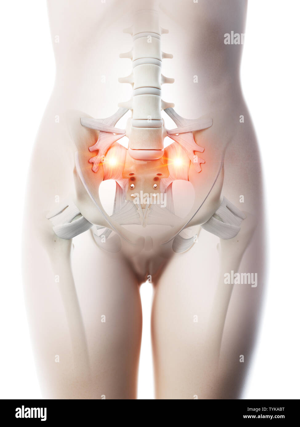 3D-Darstellung von Frauen eine schmerzhafte Sacrum gemeinsame Stockfoto