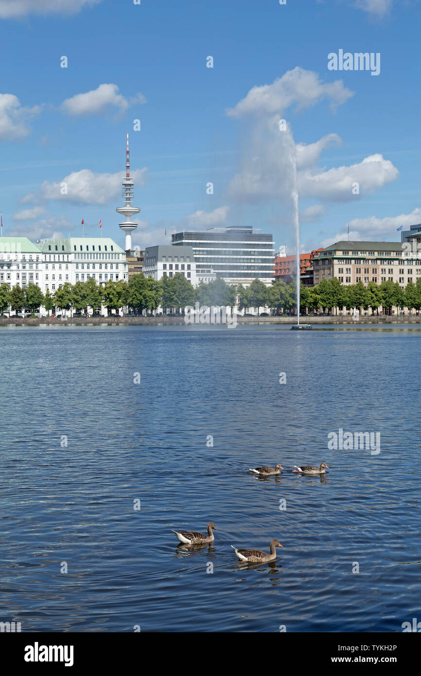 Neuen Jungfernstieg, Binnenalster, Hamburg, Deutschland Stockfoto