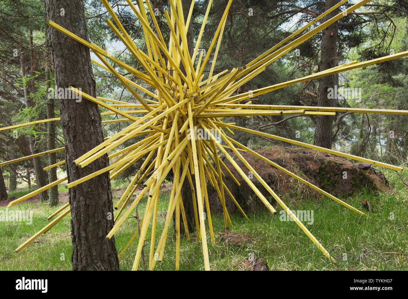 Artist's Arbeit im Arboretum de Roure - Alpes Maritimes, Provence, Frankreich Stockfoto