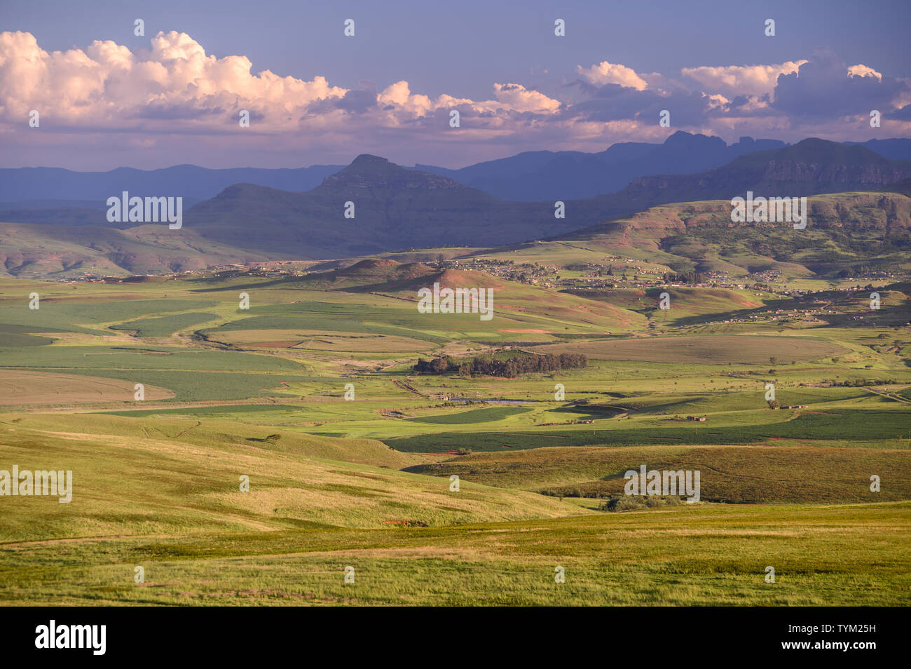Afrika, Südafrika, Afrika, Natal, Drakensberg, KwaZulu Natal, Royal Natal National Park, SANParks Stockfoto