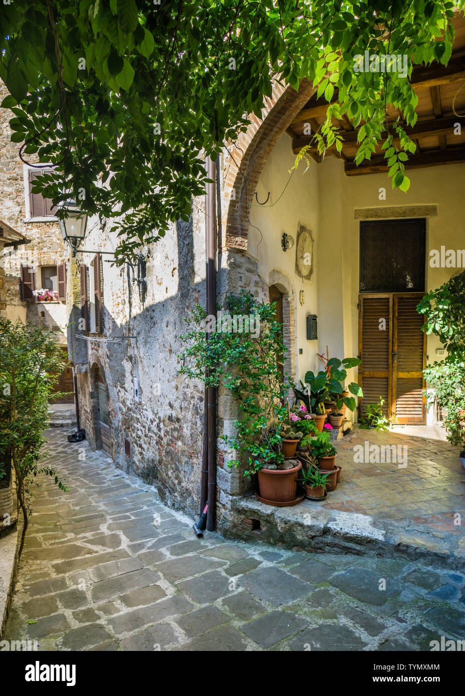 Idyllische Gasse in der mittelalterlichen Stadt Montemerano, Toskana, Italien Stockfoto