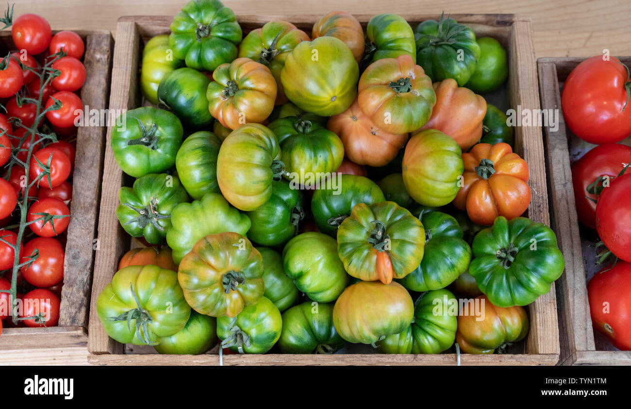 Bio-Tomaten für den Verkauf in Daylesford Organic farm Shop Sommerfest. Daylesford, Cotswolds, Gloucestershire, England Stockfoto