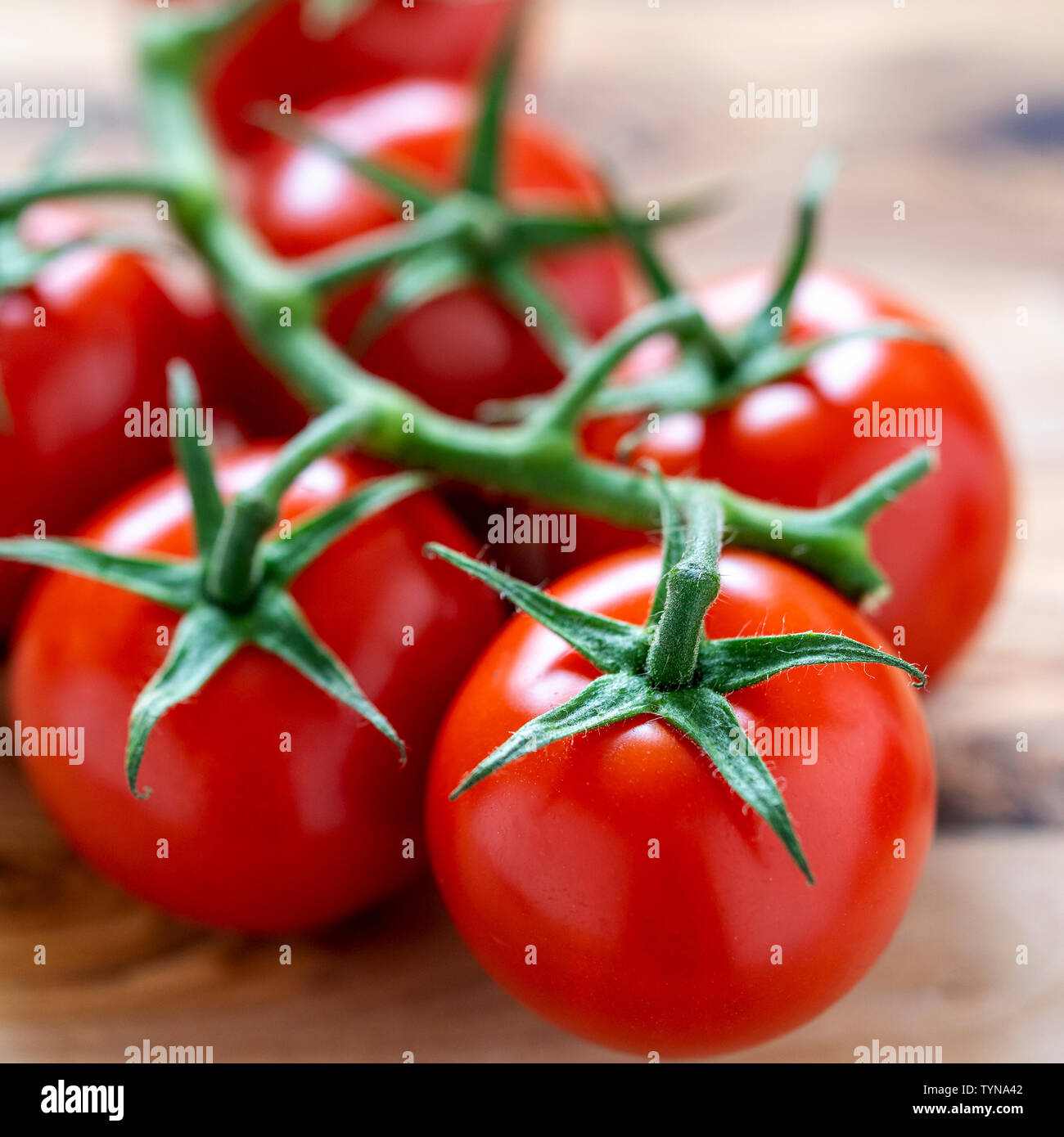 Rote Rebsorten Tomaten schließen bis auf Holz- Oberfläche Stockfoto