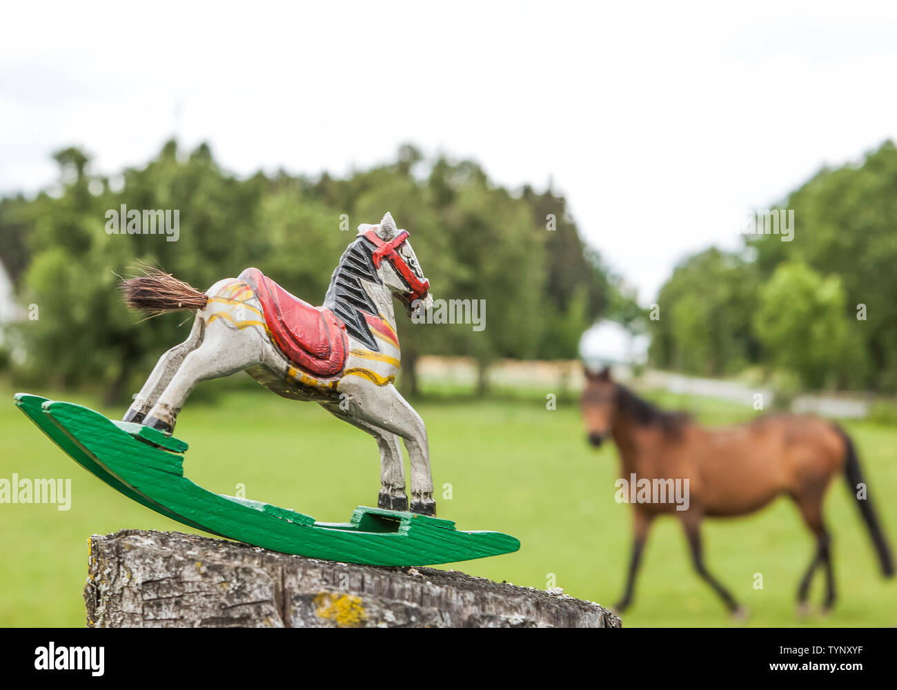 Antike Schaukelpferd auf einem Kies Boden Stockfoto