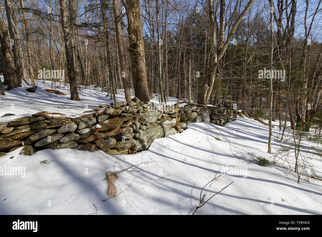 Stonewall in der Nähe der Alten die Gideon Ricker Farm Site an den verlassenen Ricker Becken Landwirtschaft auf Ricker Berg in Waterbury, Vermont. Stockfoto