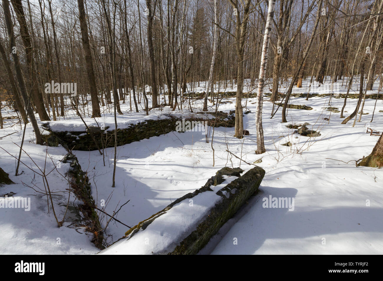 Website der Gideon Ricker Bauernhof an der verlassenen Ricker Becken Landwirtschaft auf Ricker Berg in Waterbury, Vermont. Stockfoto