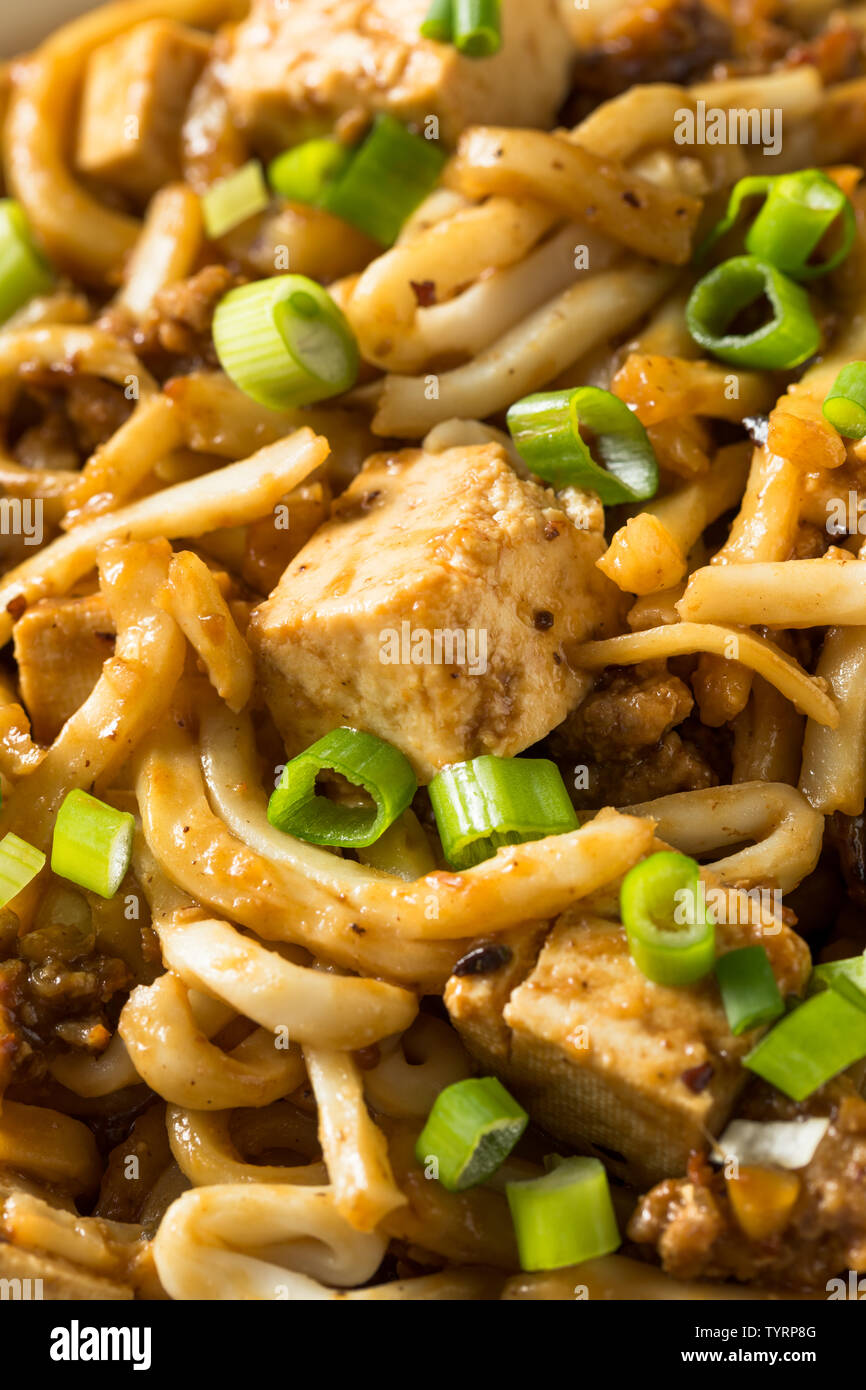 Hausgemachte japanische Mapo Tofu Udon Nudeln Schüssel Stockfoto