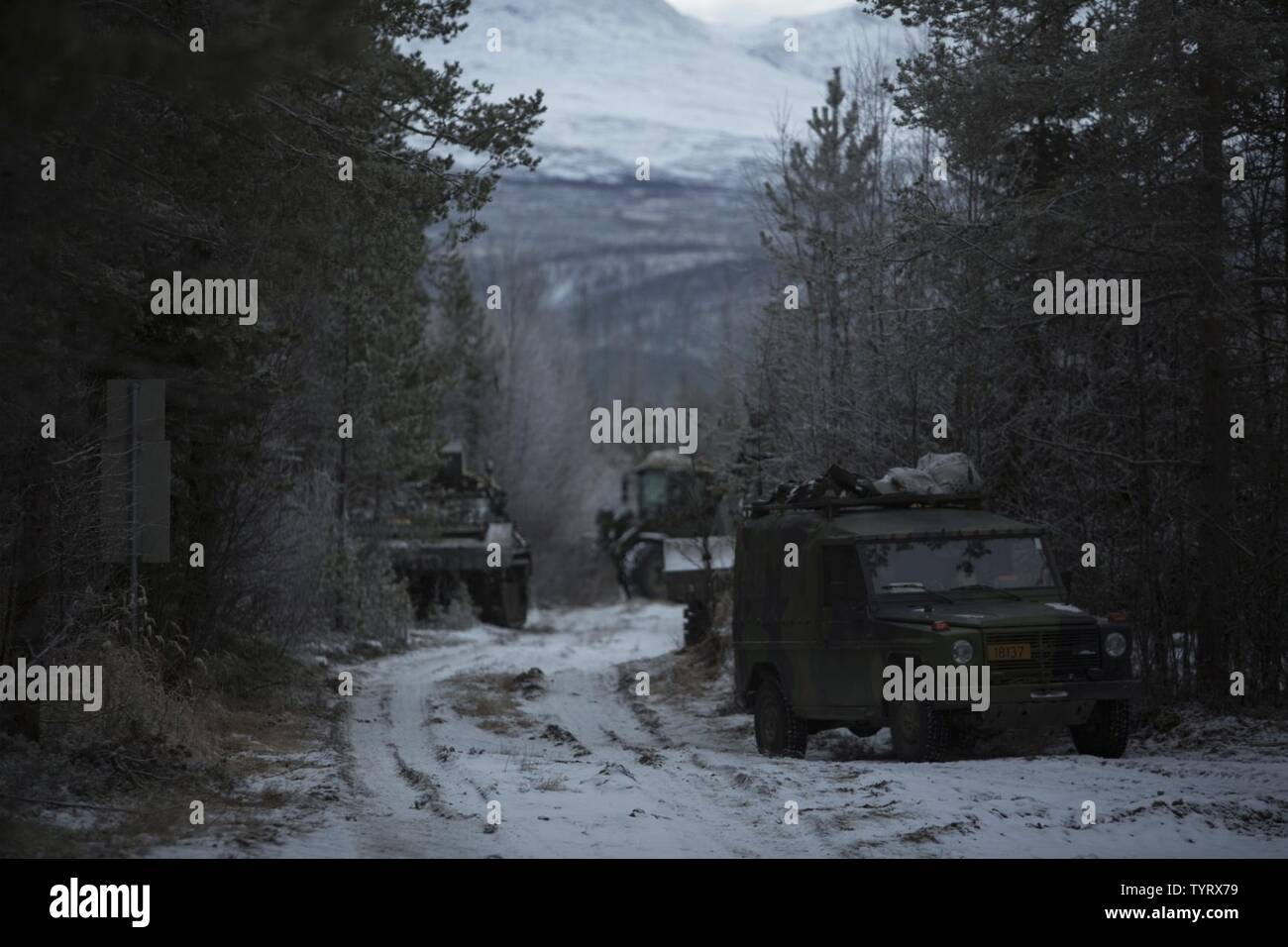 US-Marines gemeinsam mit der norwegischen Armee, offensive und defensive Operationen auf das Bataillon und Brigade-Ebene während der Übung Rentier II in Blåtind, Norwegen, 24. November 2016 durchzuführen. Rentier II ist eine bilaterale Trainingsübung gehostet durch das norwegische Militär um Unterstützung zwischen den NATO-Verbündeten unter extremen Bedingungen zu verbessern. Schwarzmeer Drehkraft ist eine jährliche multilateralen Zusammenarbeit Aktivität zwischen der U.S. Marine Corps und der Partnernationen im Schwarzen Meer, Balkan und Caucasus Regionen zur Verstärkung der Teilnehmer kollektiven professionellen militärischen capac Stockfoto