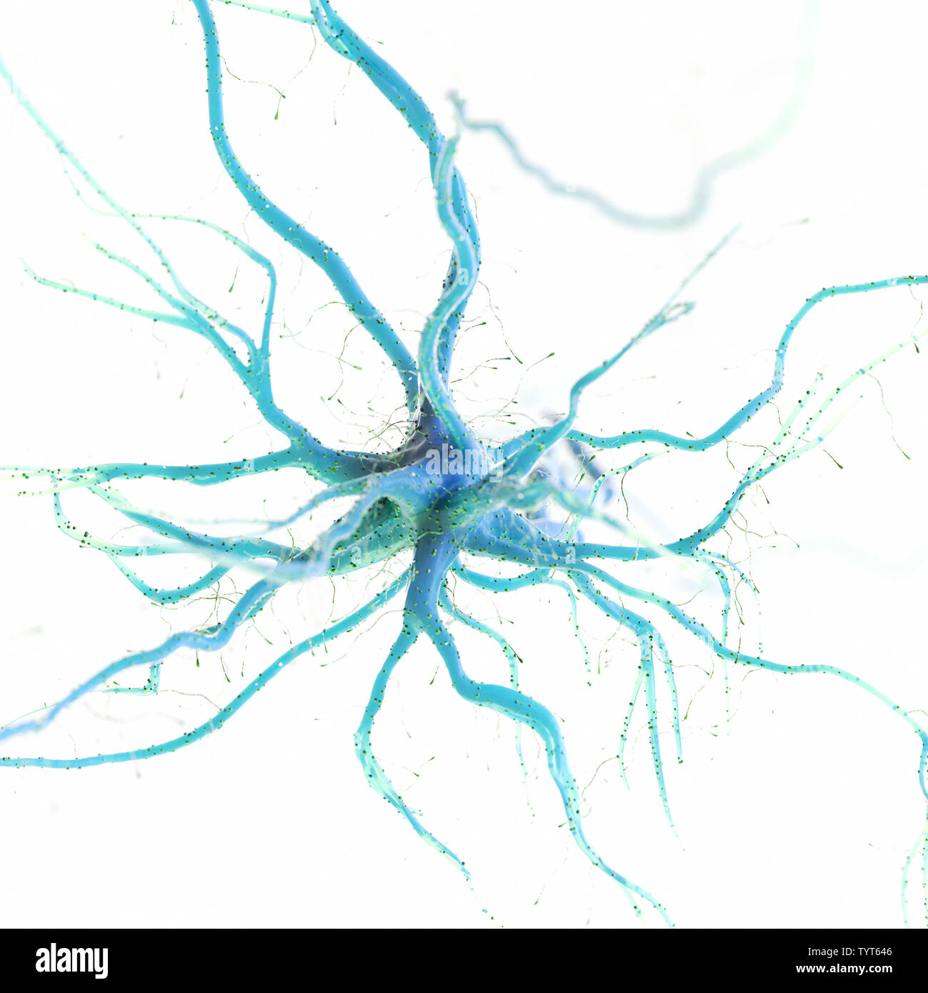 3D-Darstellung eines menschlichen Nervenzelle Stockfoto