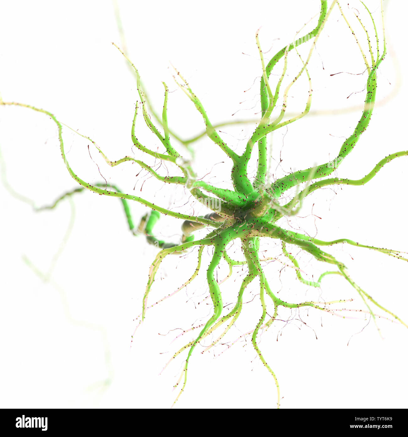 3D-Darstellung eines menschlichen Nervenzelle Stockfoto