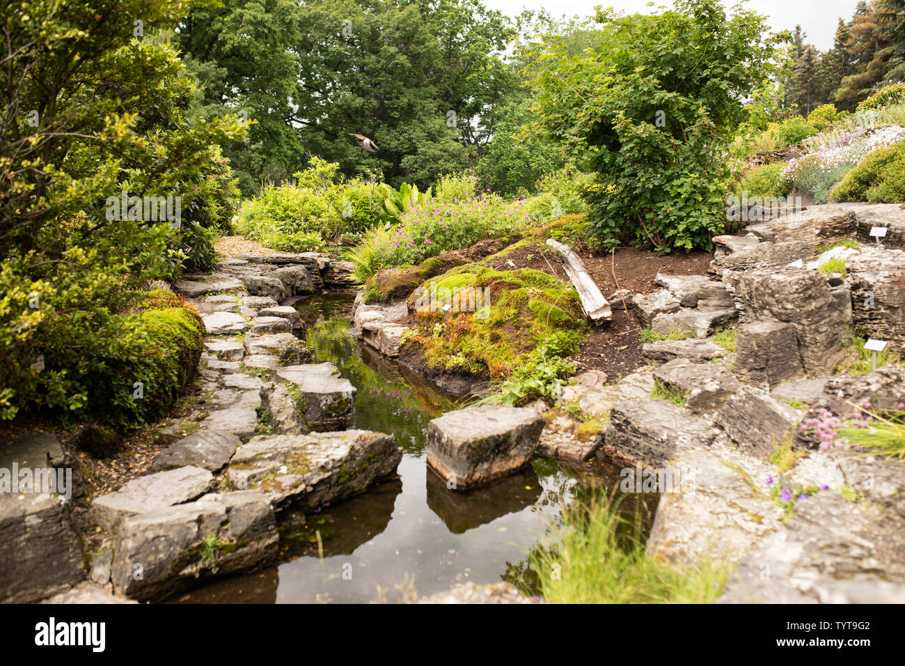 Oslo botanischer garten norwegen norwegisch Fotos und Bildmaterial in