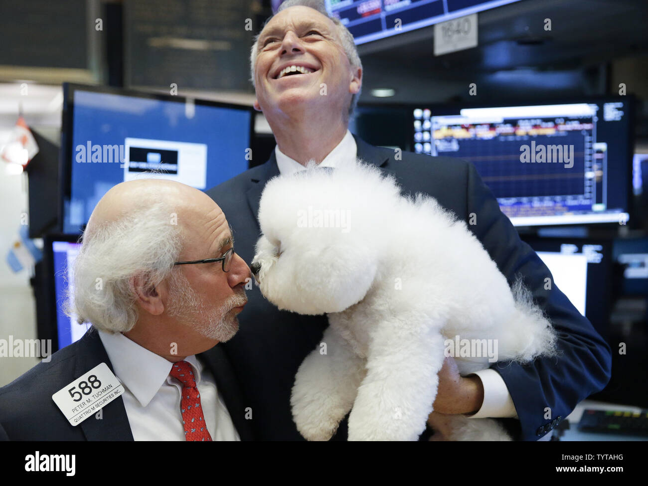 Handler Bill McFadden hält Best in Show Sieger im 2018 Westminster Dog Show, Flynn die Bichon Frise, die Beulen Nasen mit Trader Peter Tuchman auf dem Boden der NYSE an der Öffnung Glocke an der New Yorker Börse an der Wall Street in New York City am 16. Februar 2018. US-Aktien schauen, um zu einer 5-tägigen gewinnender Streifen hinzuzufügen und sind auf dem richtigen Weg für Ihre besten wöchentlichen Gewinnen in fünf Jahren. Foto von John angelillo/UPI Stockfoto