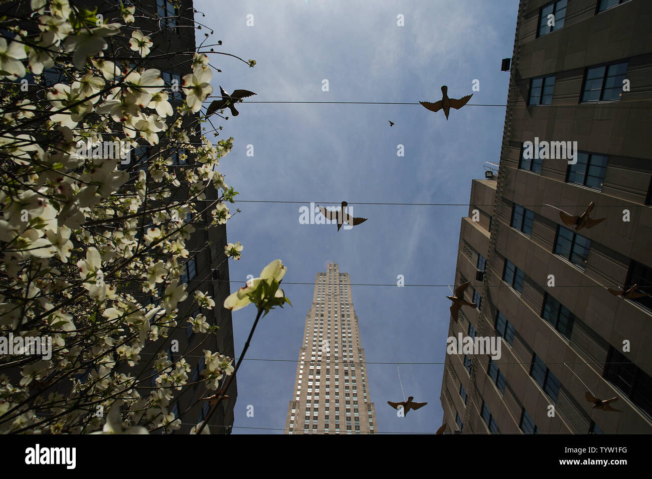 Tress blühen im Frühjahr an einer Vorschau des Eröffnungs-Fries Skulptur am Rockefeller Center, das freie Kunst im öffentlichen Raum Installation mit 20 Skulpturen von 14 lokalen und internationalen Künstlern, am 25. April 2019 in New York City. Skulpturen von Nick Cave, Aaron Curry, Jose Davila, Walter De Maria, Rochelle Goldberg, Goshka Macuga, Ibrahim Mahama, Joan Miro, Paulo Nazareth, Jaume Plensa, Pedro Reyes, Kiki Smith, Sarah Sze, und Hank Willis Thomas sind in Fries Skulptur am Rockefeller Center. Arbeiten erscheinen in einer Vielzahl von Innen- und Außenbereichen der gesamten Center i Stockfoto