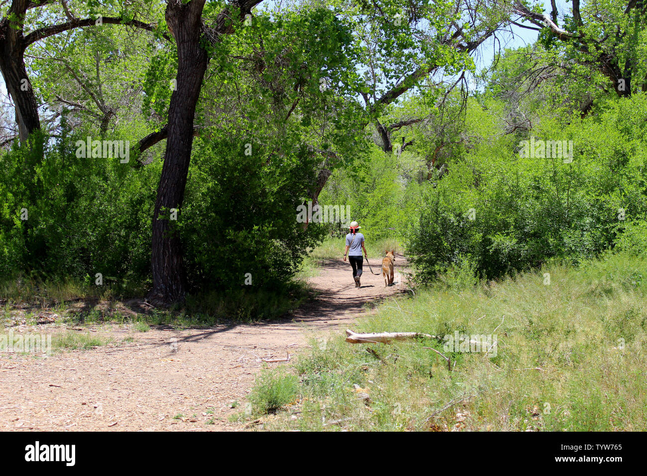 Mein bester Freund und ich Stockfoto