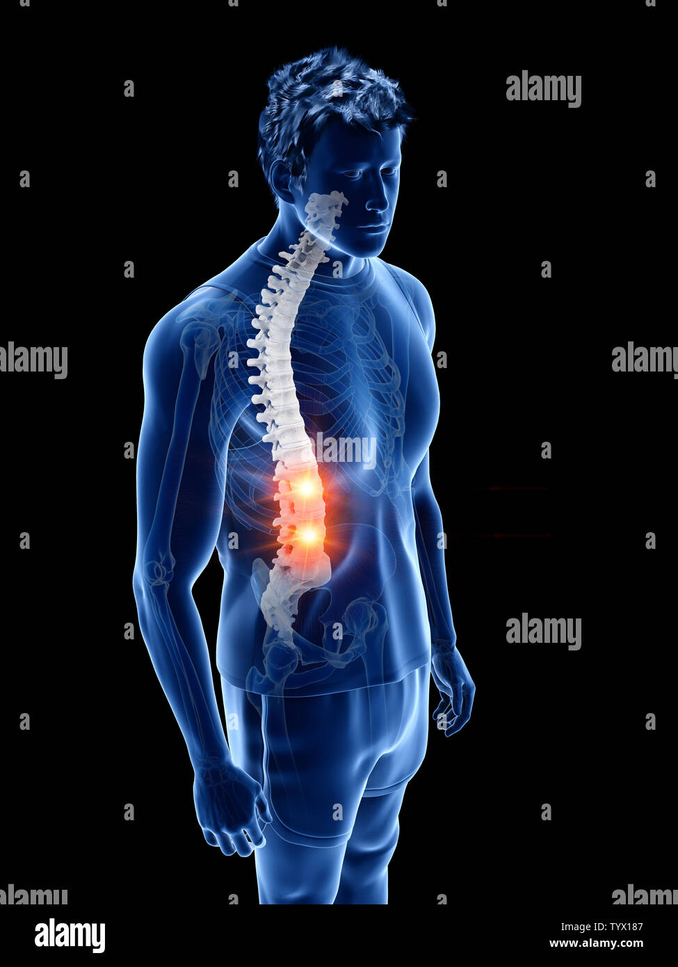 Mann anatomie innere organe rücken -Fotos und -Bildmaterial in hoher ...