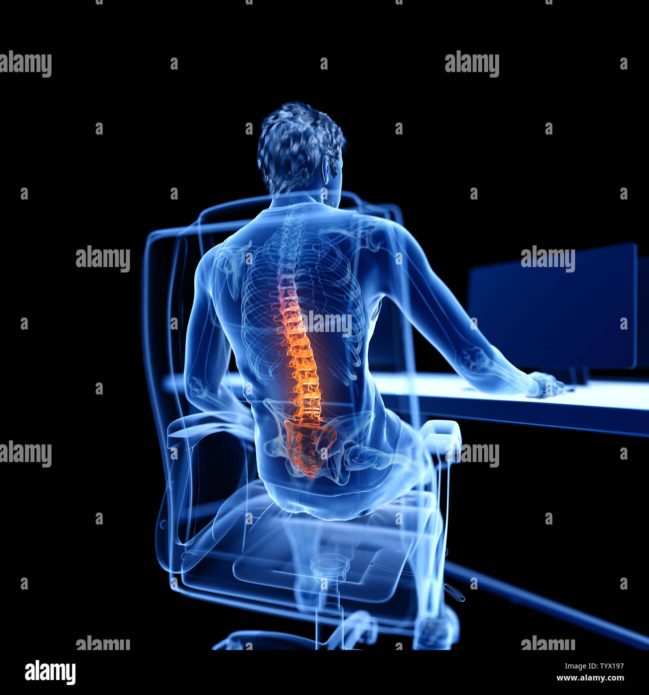 Mann anatomie innere organe rücken -Fotos und -Bildmaterial in hoher ...